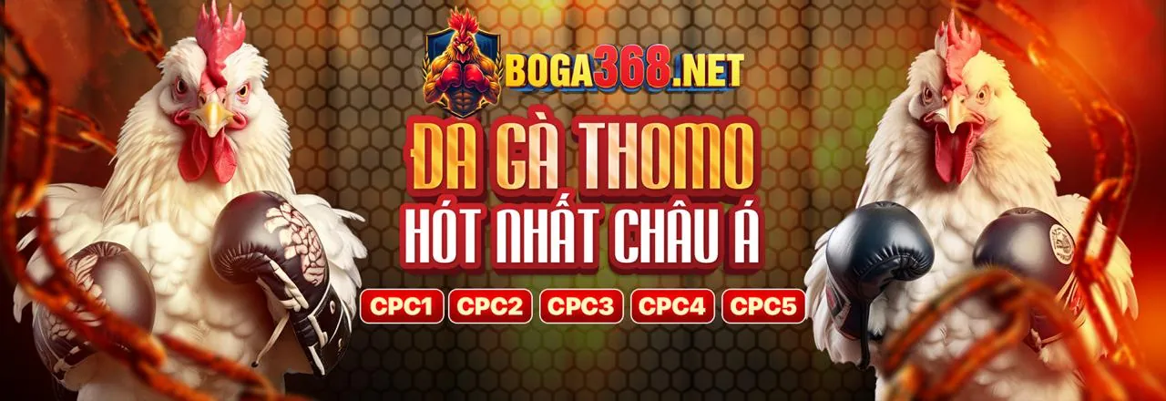 Các giá trị cốt lõi của B888 Code: uy tín, an toàn, đổi mới, khách hàng là thượng đế